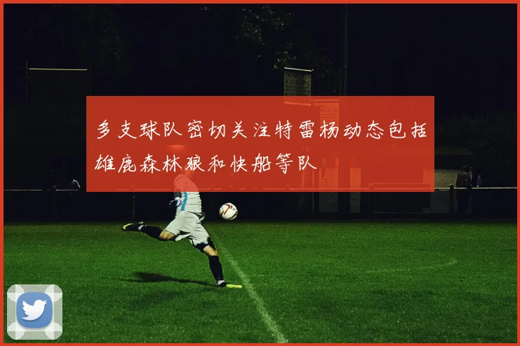 多支球队密切关注特雷杨动态包括雄鹿森林狼和快船等队