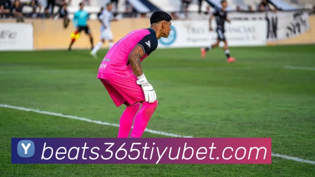 beats365体育服务体系